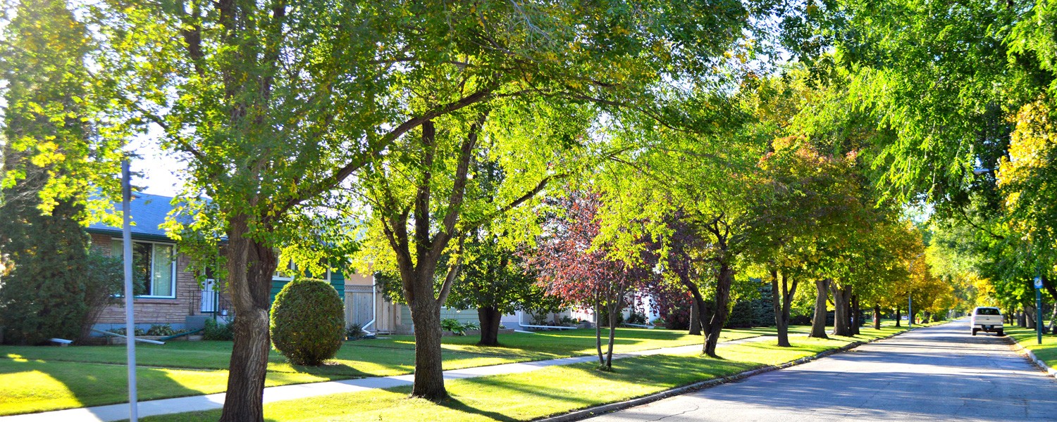 East Kildonan Moving Company